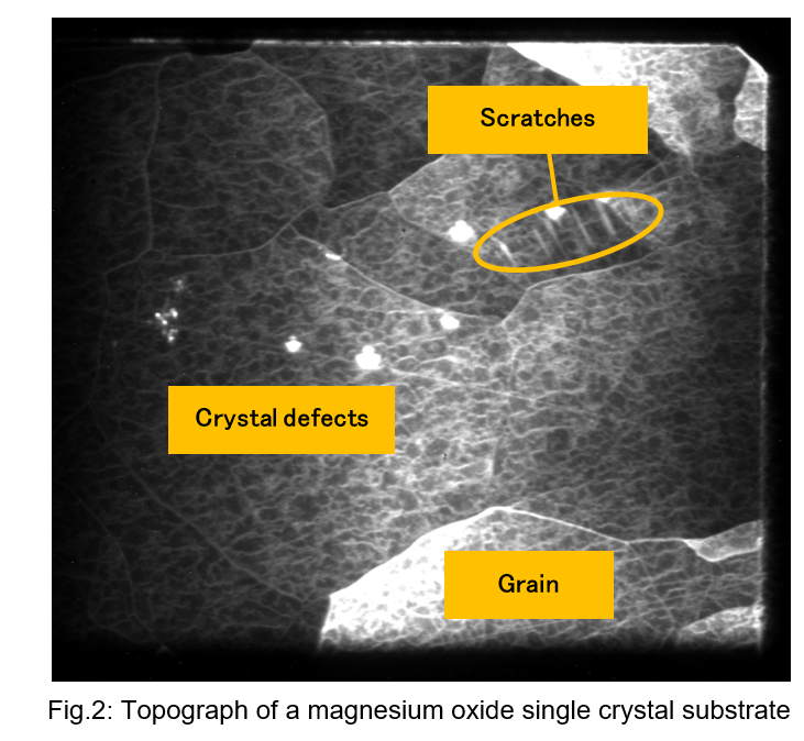Crystal defect analysis of a single crystal image2